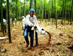 肥料入れに精を出す