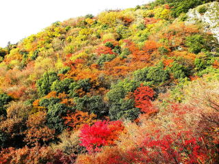 ロープウェーからの眺めは絶景